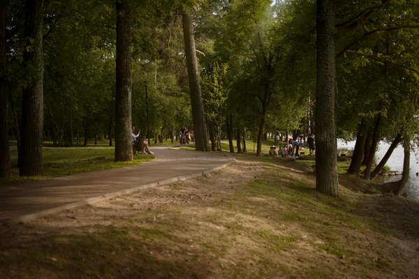 Aphrodisiaque homme : des solutions pour renforcer votre virilité